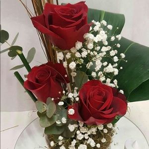 Meet your Posher, Romey